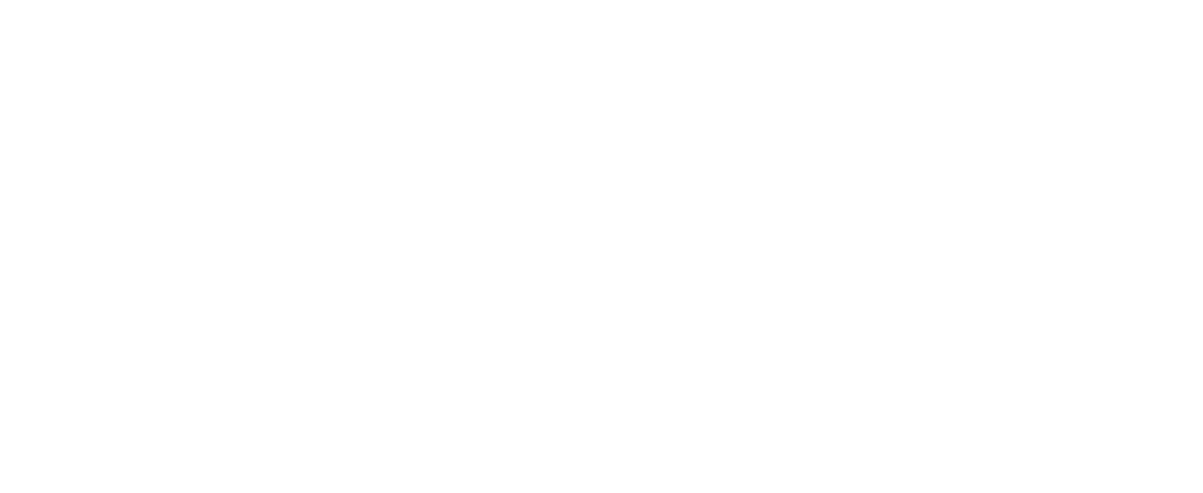 2IC - Ipsum International Consulting